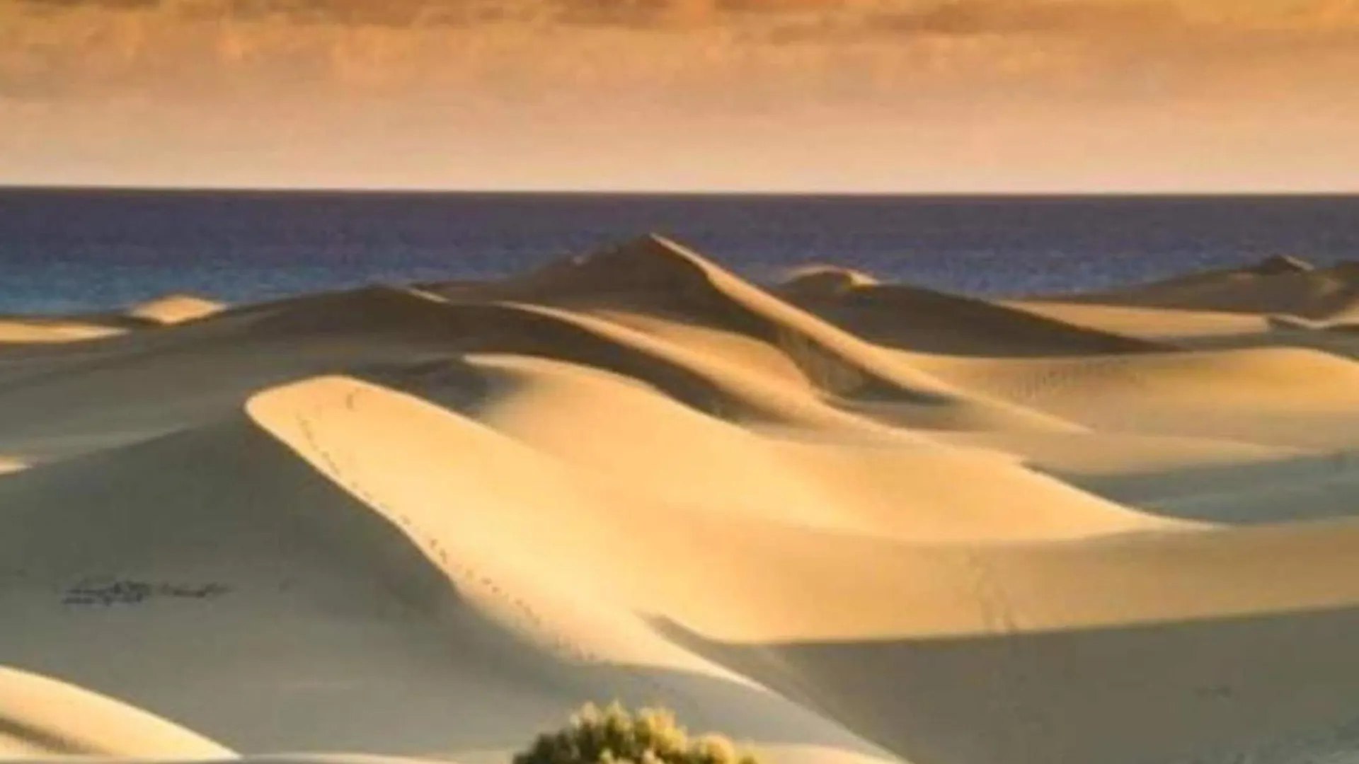 2 Bedroom Apartment In Maspalomas